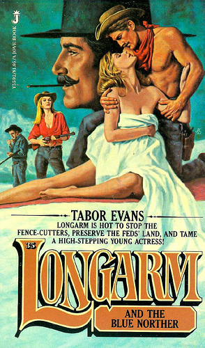 Longarm and the Blue Norther by Tabor Evans